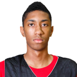 Christian Wood — 6′ 11″ Power Forward